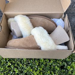 UGG Women's Scuffette II Slipper ((Size 8))