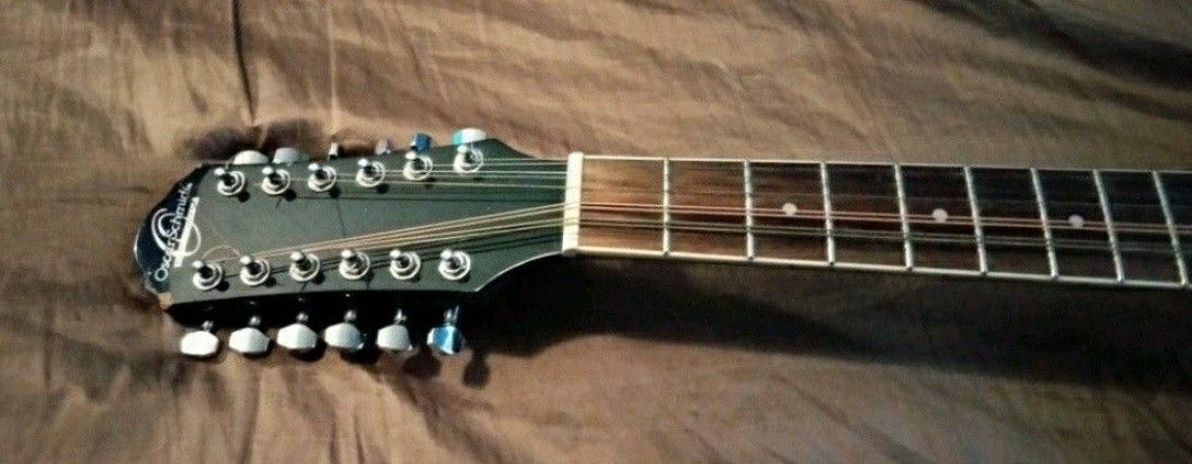 12 String guitar 