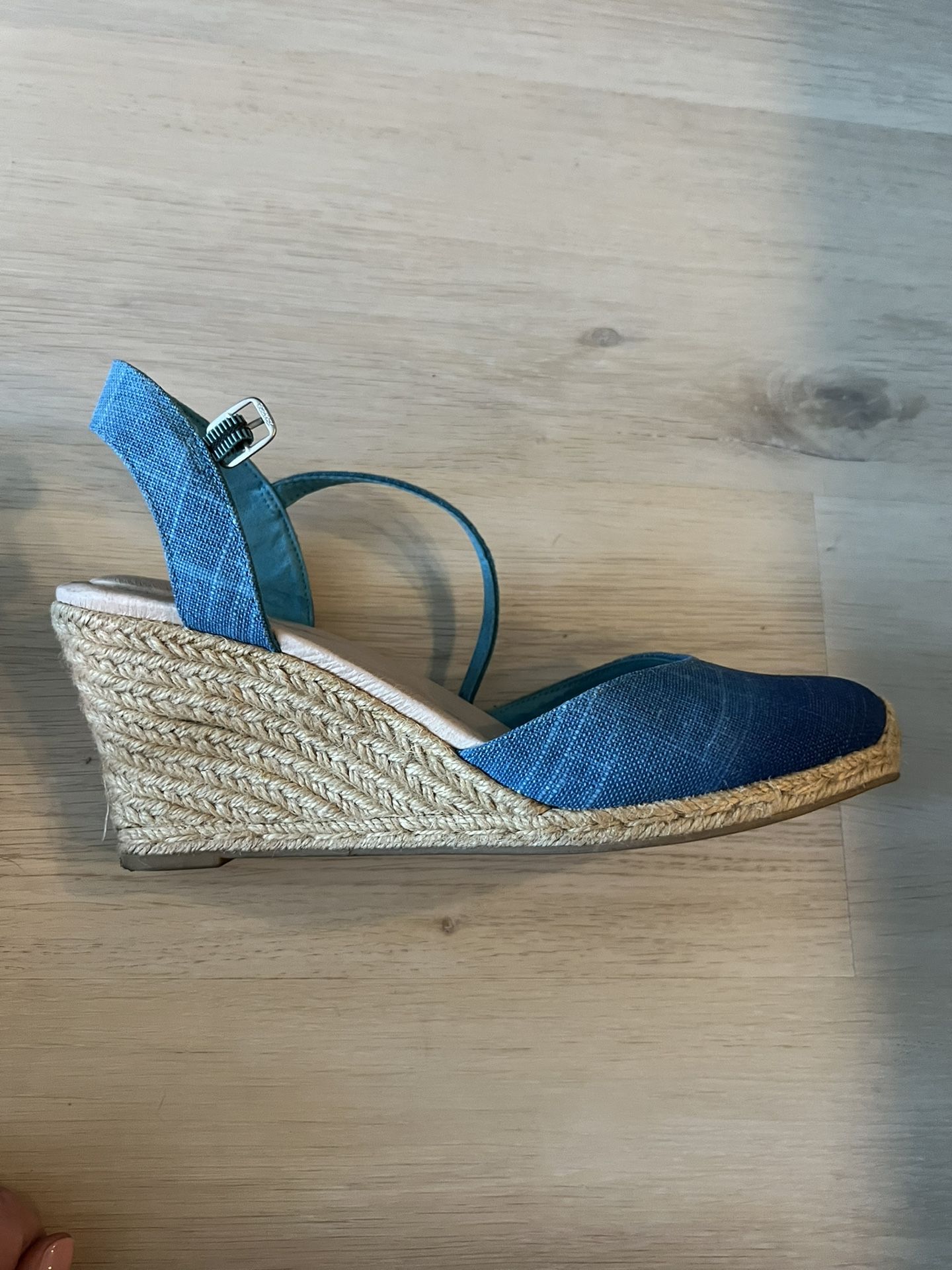 Ombré Blue Wedge Slingbacks 10.5