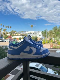 Nike Dunk Low “Polar”