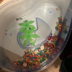 Turtle Tank 
