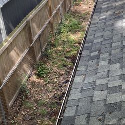 Gutter cleaning Service 