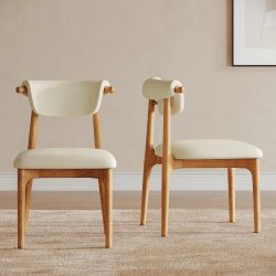 Petra Leather Dining Chairs (set of 2)