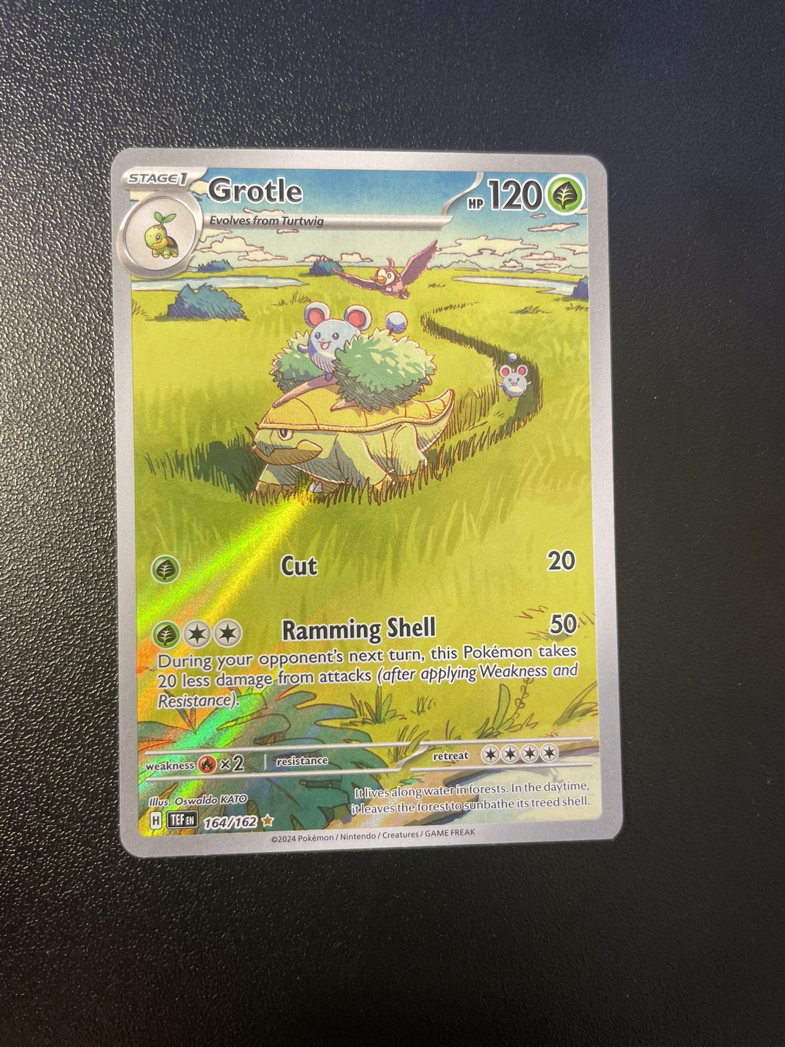 Crotle Pokemon Card Full Art