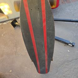38 Inch Long Board - Santa Cruz