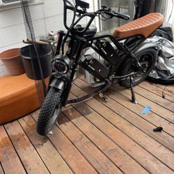 Very Sturdy Bikes With Double Batteries 