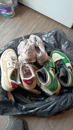 Tenis