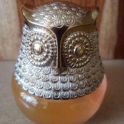 Vintage 1970’s Collectible Glass Avon Owl  Colonge Bottle 🦉