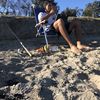 David