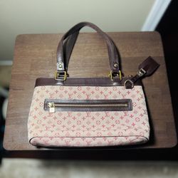 Louis Vuitton Purse