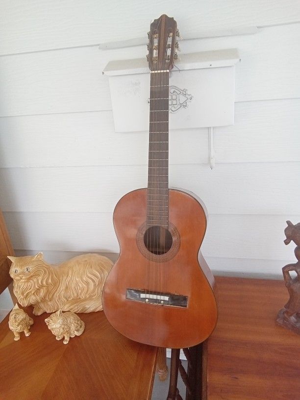 Guitar