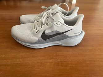 Nike pegasus 41