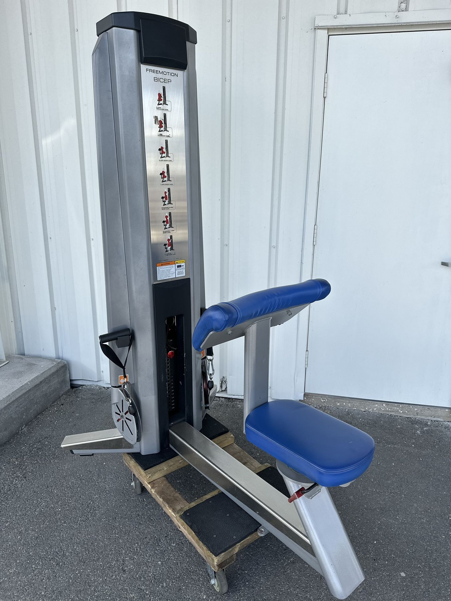 Freemotion Preacher Curl / Bicep Machine