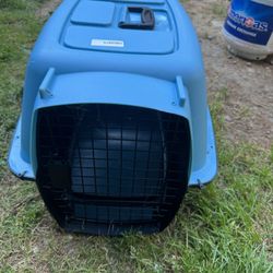 Kennel