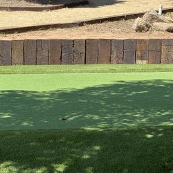 Artificial Grass