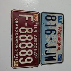 (2) Vintage License Plate Home Decor