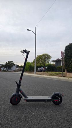 Electric adult scooter
