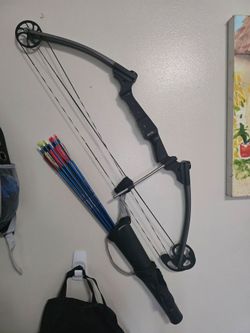 Genesis compound bow