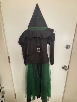 Halloween Costume 7-8 year old.. Brand New