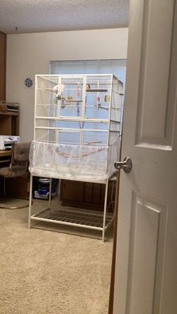 Big bird cage