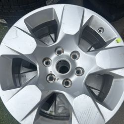 Rim 17
