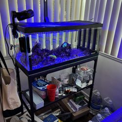 20 Gal Salt Water Aquarium 