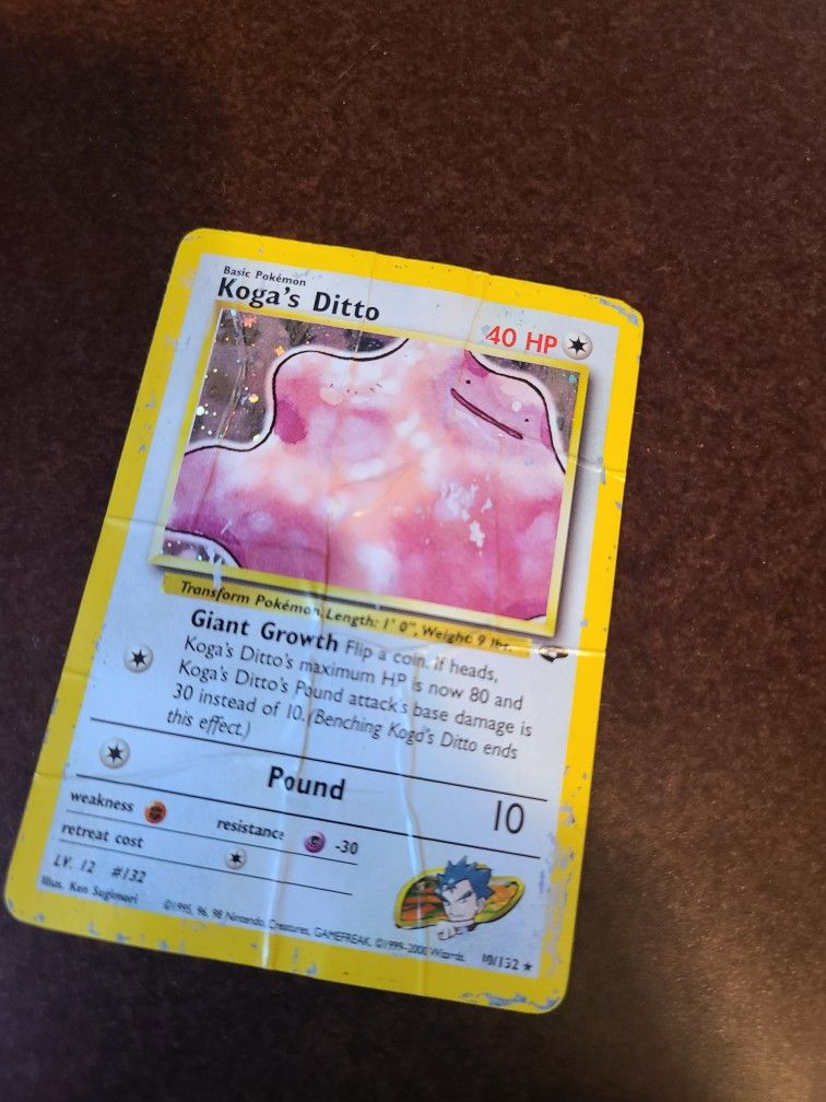 Koga's Ditto # 10