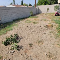 Clean Ups/ Leveling / Mulch / Pick Ups / Trim