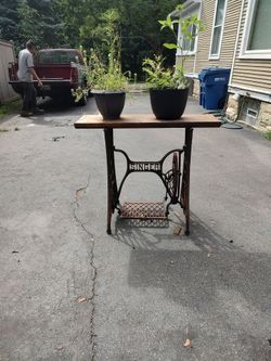 Plant.  Stand
