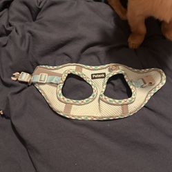 Petank XS Dog Harness