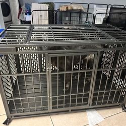 42 Inch dog Cage Like New 