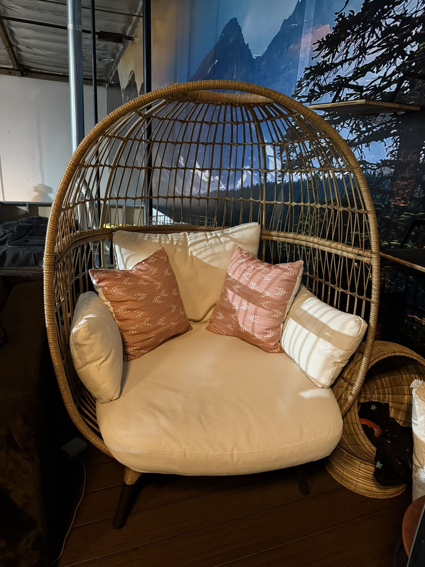 Egg Chair