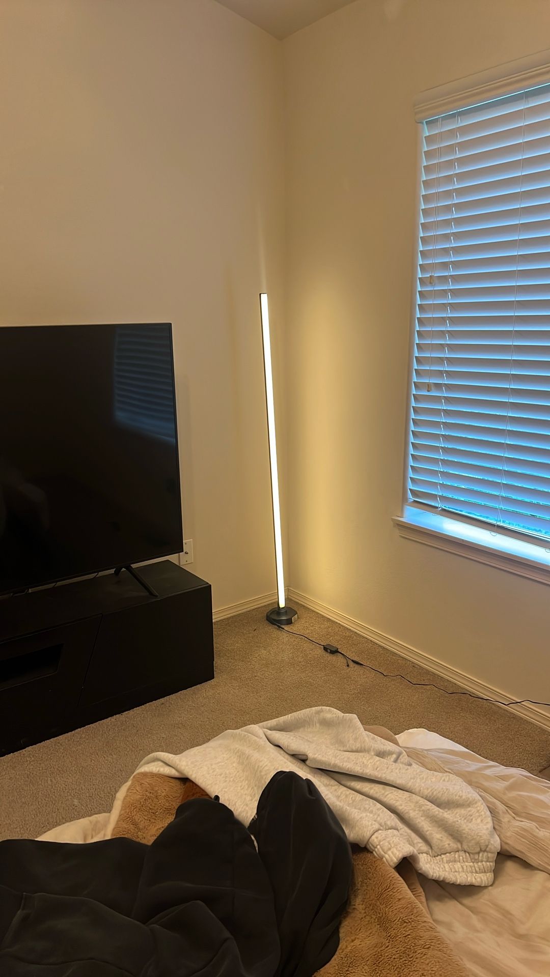 Led Standing Lamp