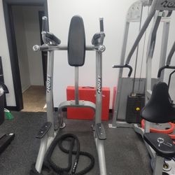 Hoist CF-3252 Vertical Knee Raise / Dip