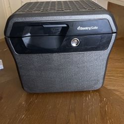 Sentry Safe