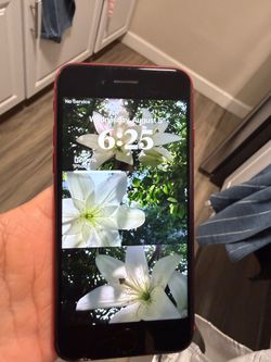 Apple iPhone SE