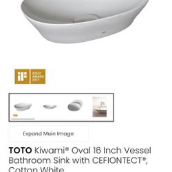 Toto vessel sink