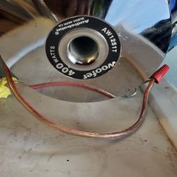 12 inch sub