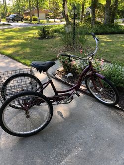 Adult tricycle