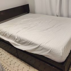 Free Queen Bed (Mattress Not Included)