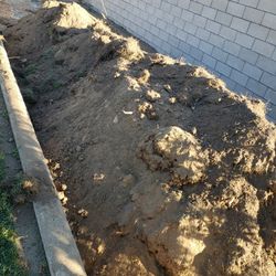 Free Dirt