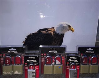 Master locks, singals, doubles,
Brand new in the original packaging.
