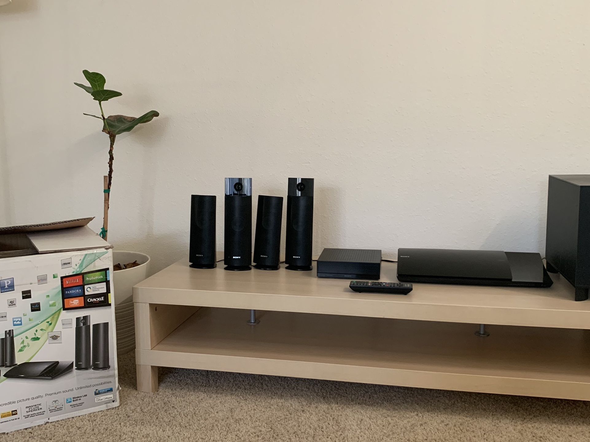 Sony Blu Ray/Surround Sound Home Theater System
