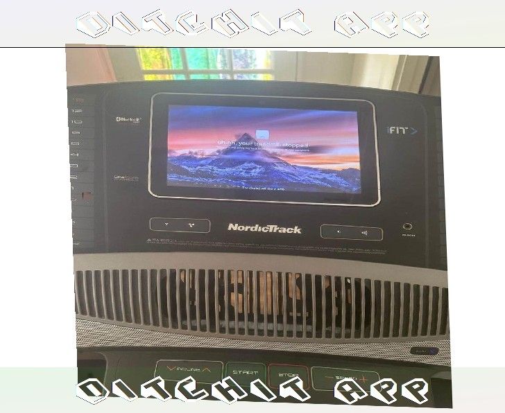so various Sunny Health & Fitness Treadmill Shape Up at Home
