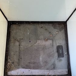 Fish Tank