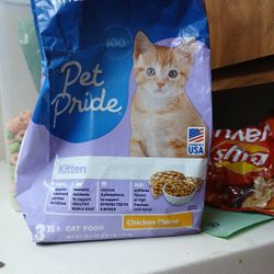 Free Cat And Stuff 