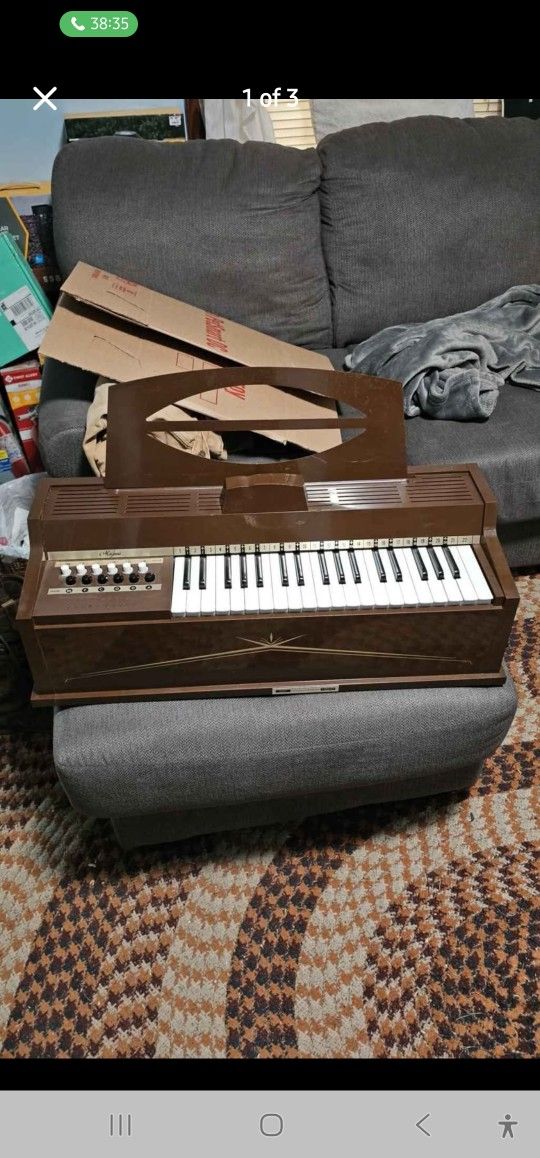 Magnus Cord Organ