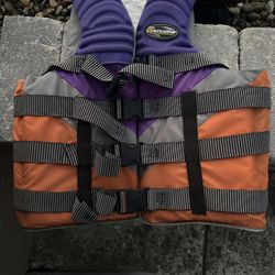 Ski Vest