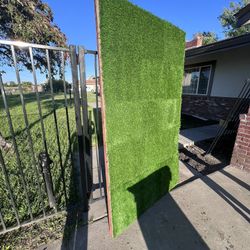 Grass Wall For Sale 