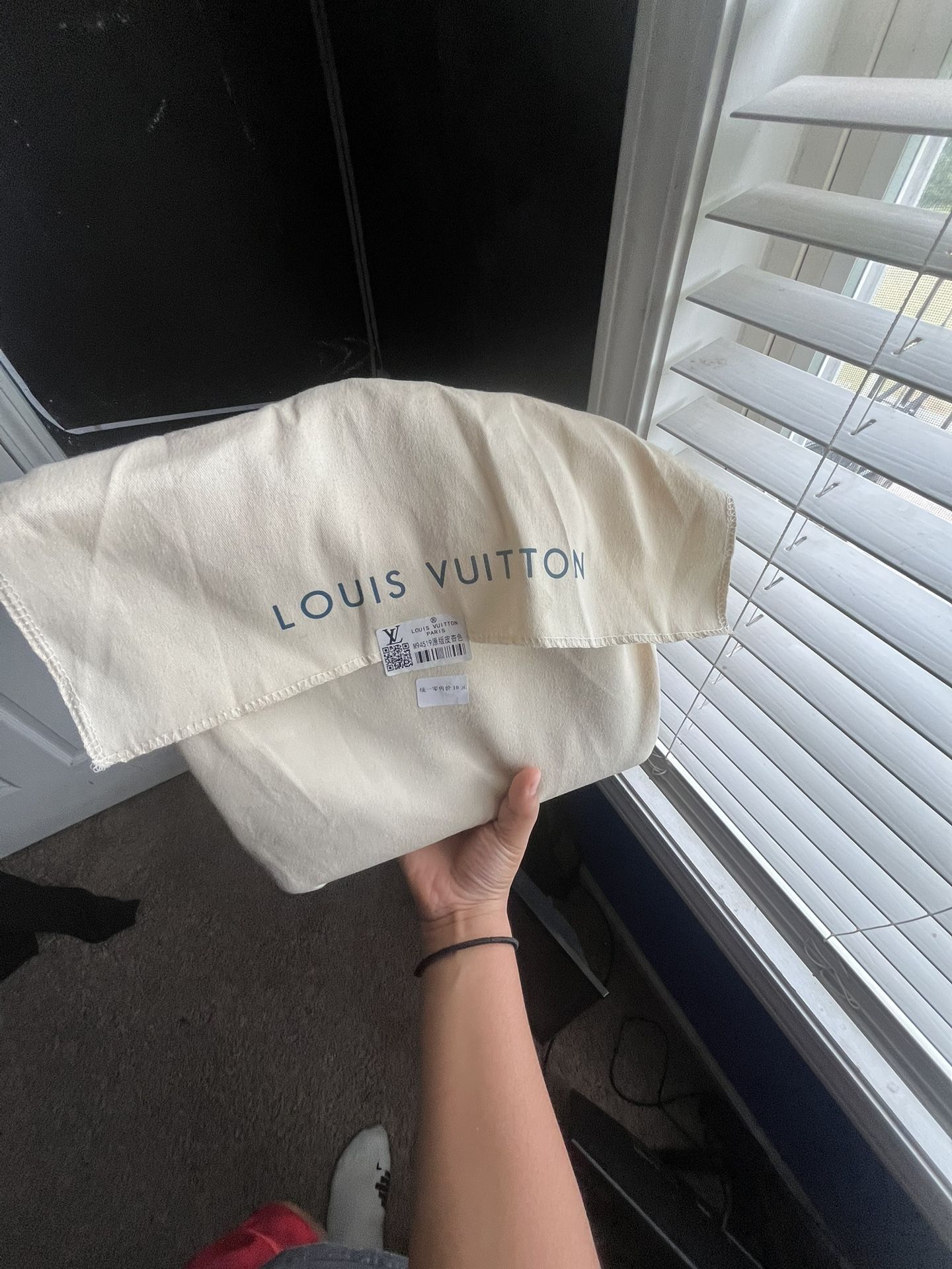 Louis Vuitton Cream Hand Bag